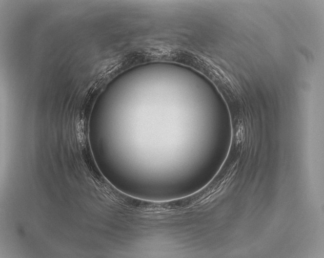 X0000116561156200912101444