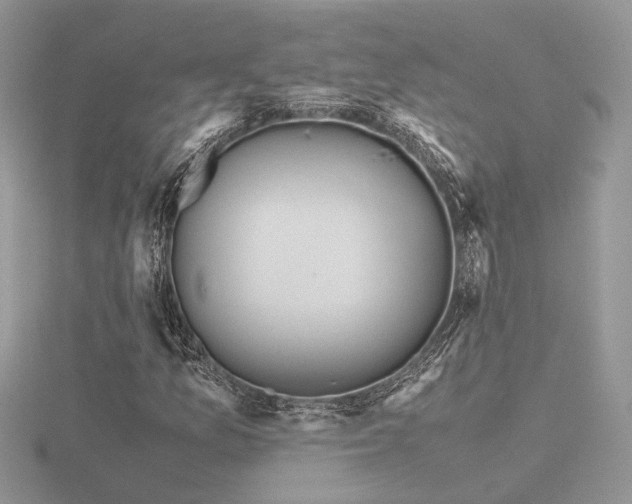 X0000116561157200912101444