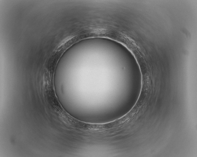 X0000116561158200912101444