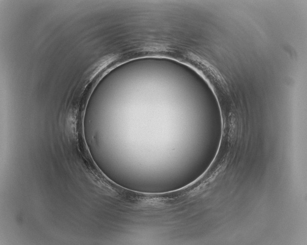 X0000116561162200912101444
