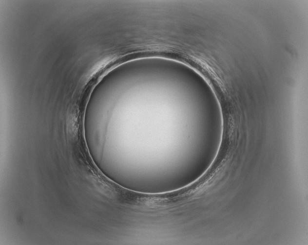 X0000116561163200912101444