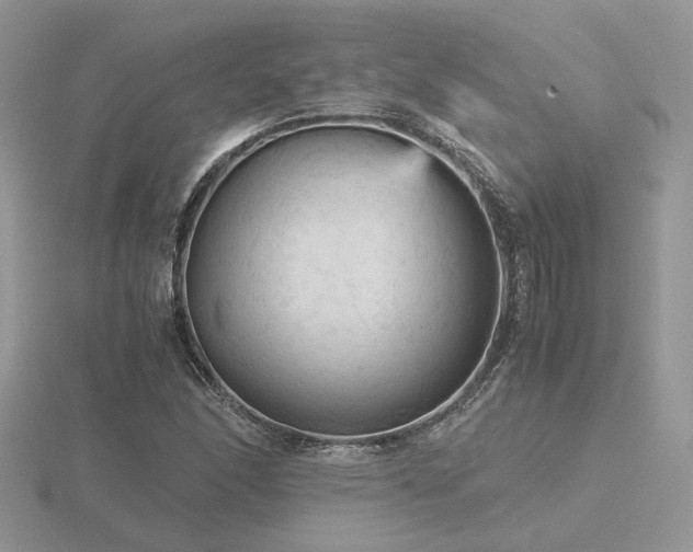 X0000116561166200912101443
