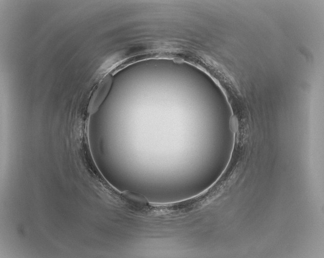 X0000116561169200912101443