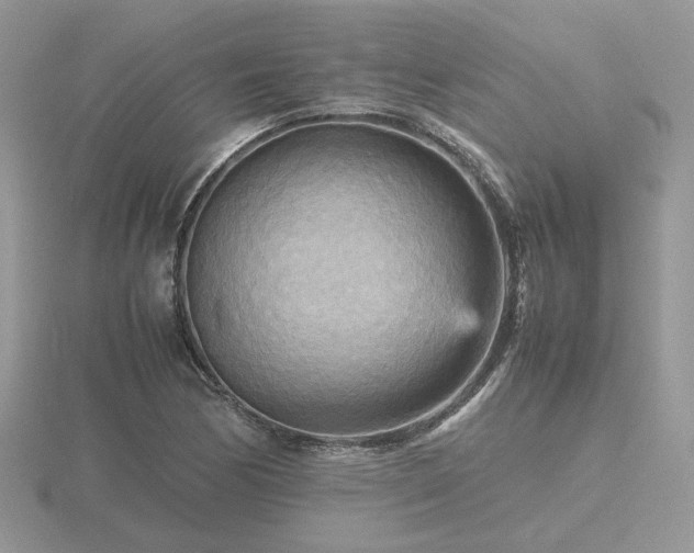 X0000116561170200912101443