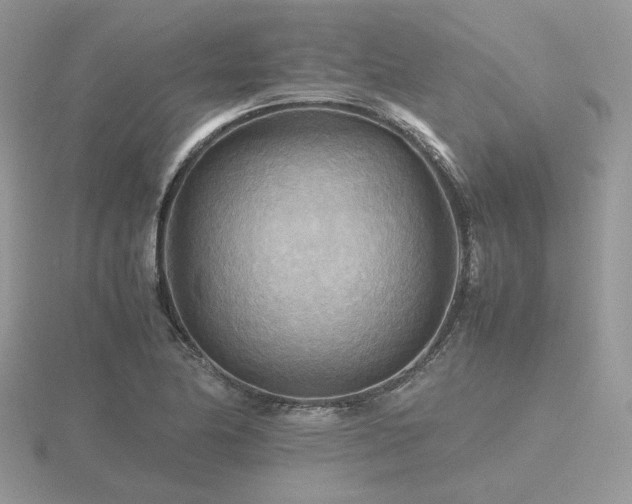 X0000116561174200912101443