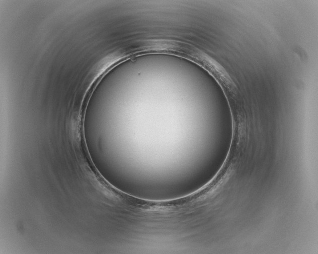 X0000116561178200912101443