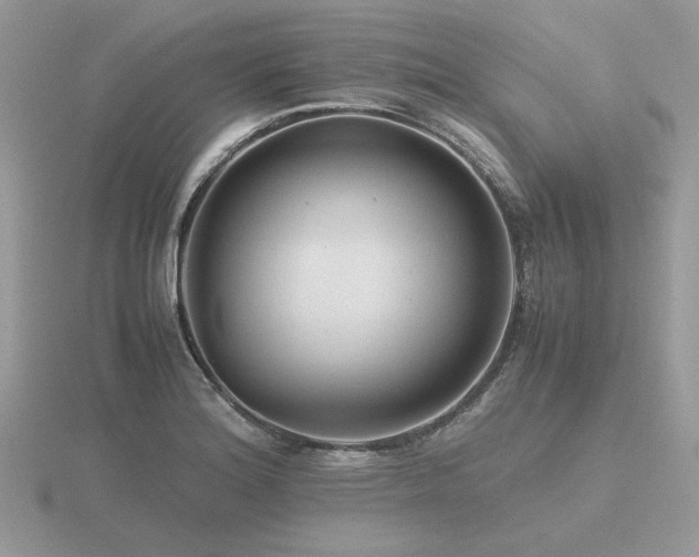 X0000116561180200912101443