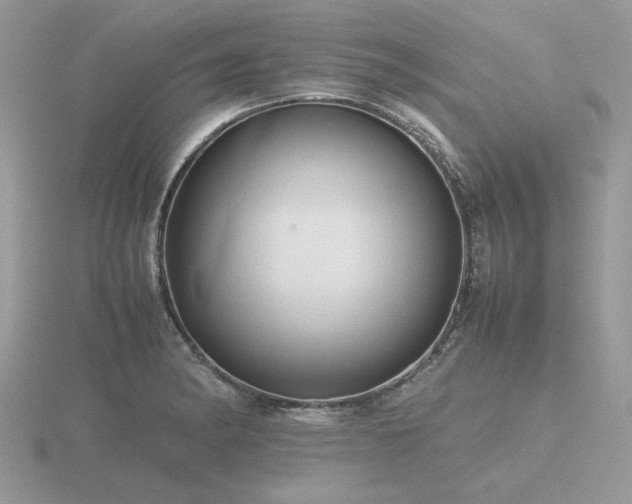 X0000116561182200912101443