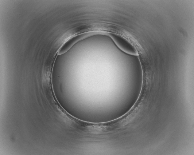 X0000116561185200912101443