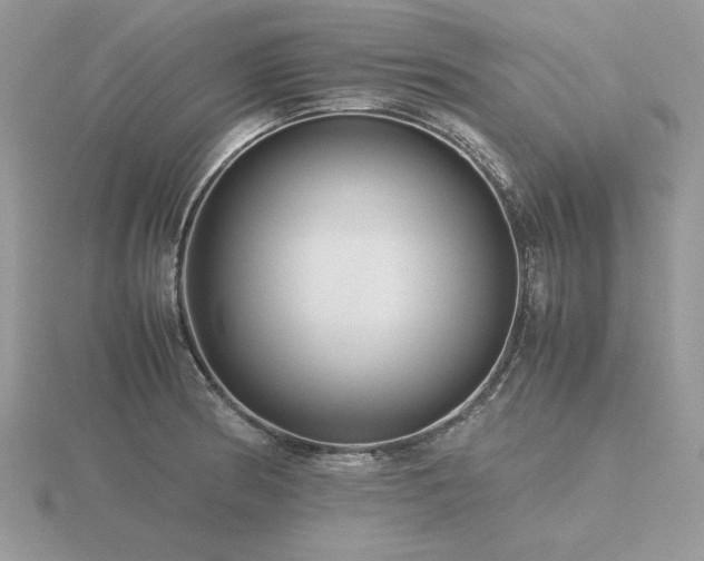 X0000116561186200912101443
