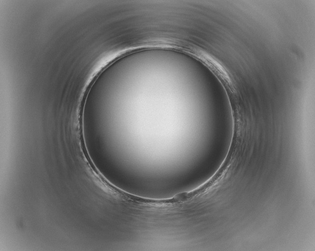 X0000116561192200912101443