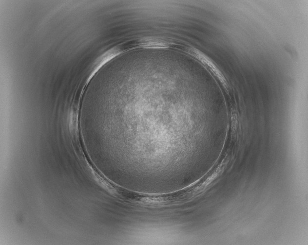 X0000116561194200912101443