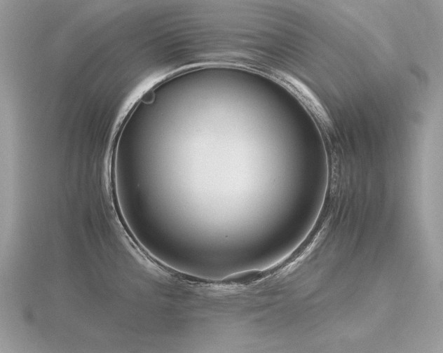 X0000116561196200912101443