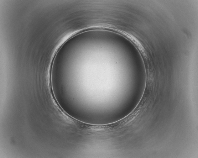 X0000116561199200912101443