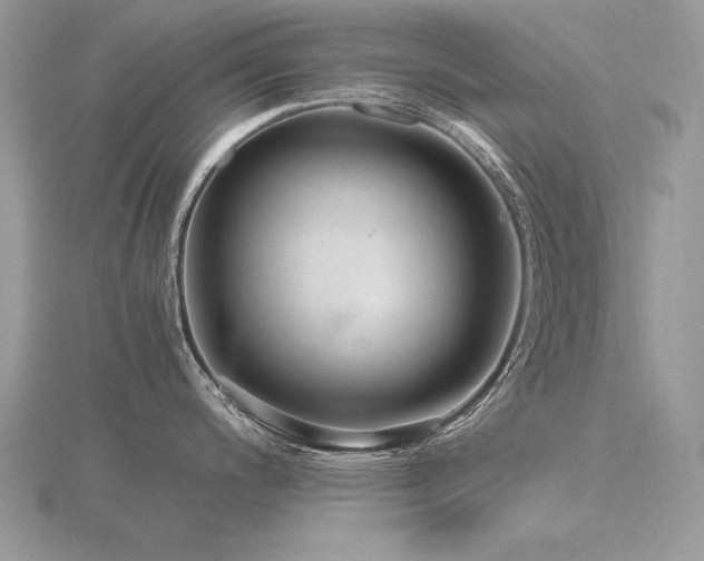 X0000116561200200912101443