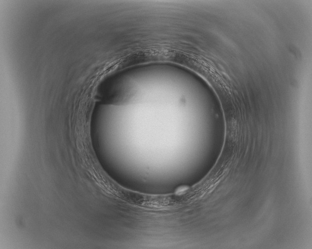 X0000116561201200912101442