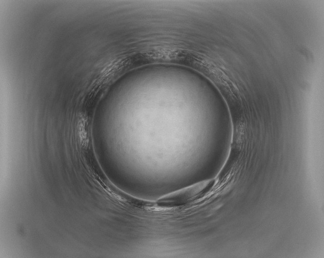 X0000116561202200912101442