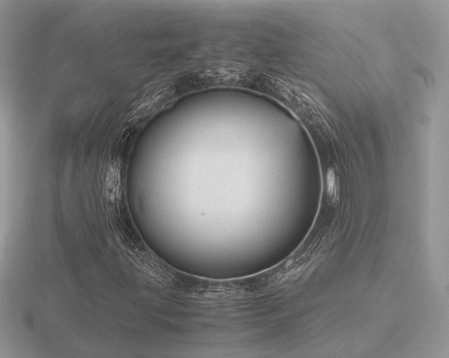 X0000116561203200912101442