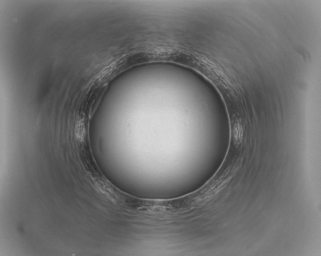 X0000116561204200912101442