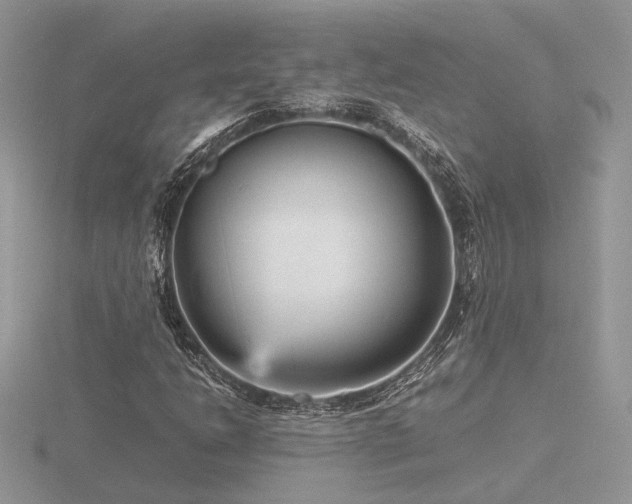 X0000116561206200912101442
