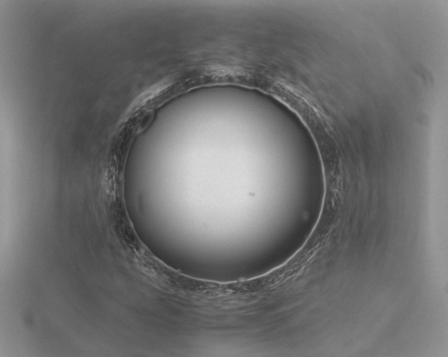X0000116561207200912101442