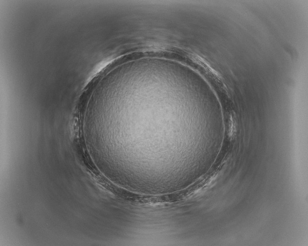 X0000116561208200912101442
