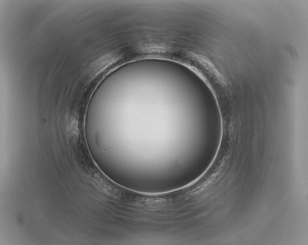 X0000116561209200912101442
