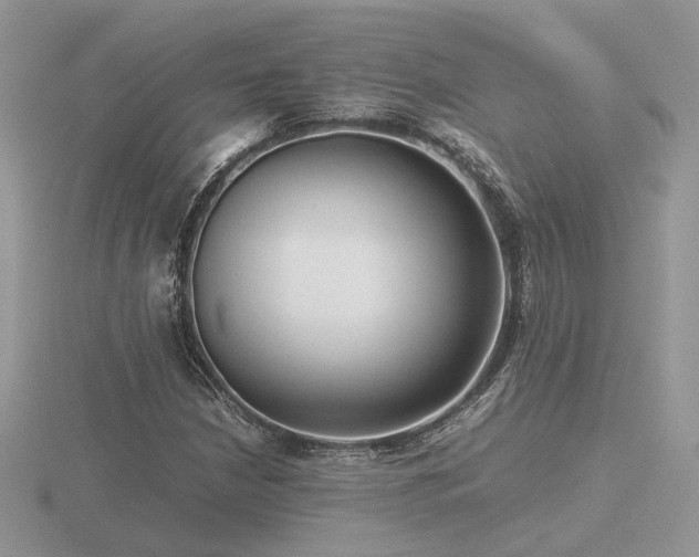 X0000116561210200912101442