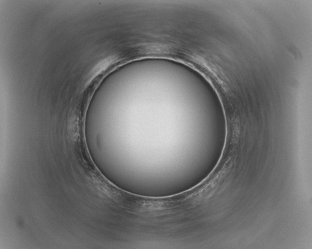 X0000116561211200912101443