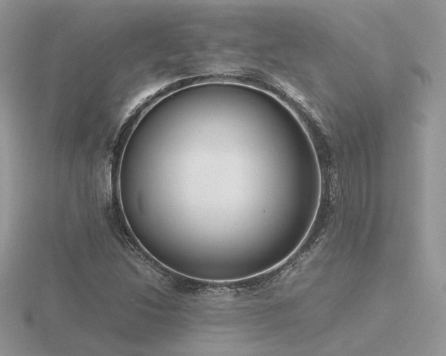 X0000116561214200912101443