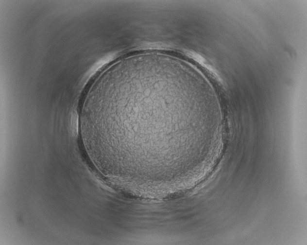 X0000116561221200912101443