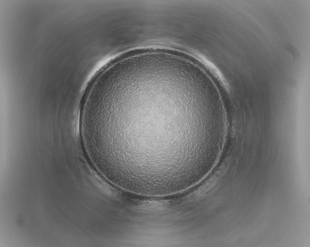 X0000116561224200912101443