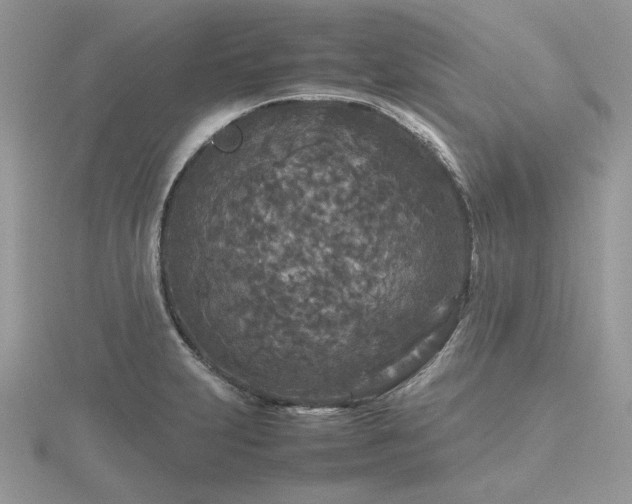 X0000116561231200912101443