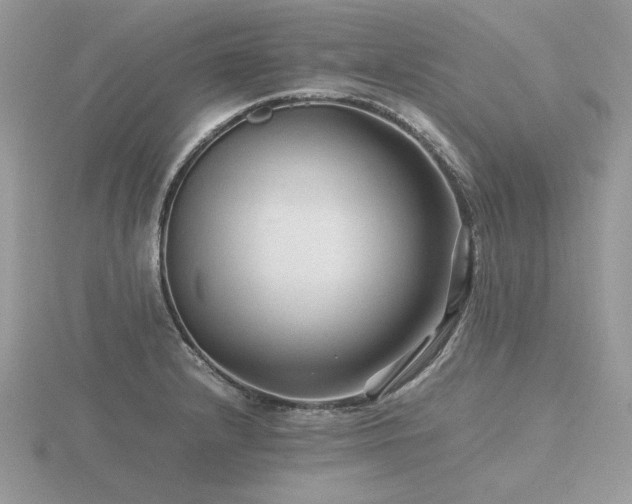 X0000116561232200912101443