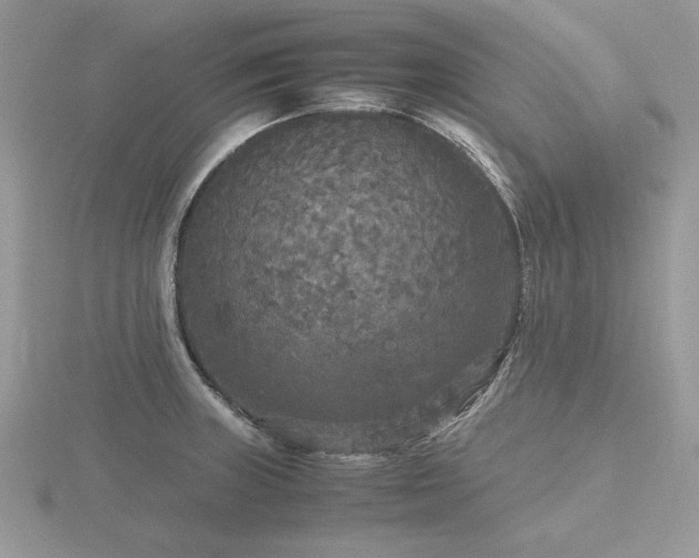 X0000116561235200912101443
