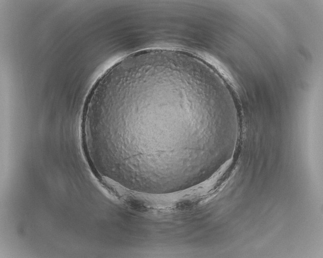 X0000116561237200912101443