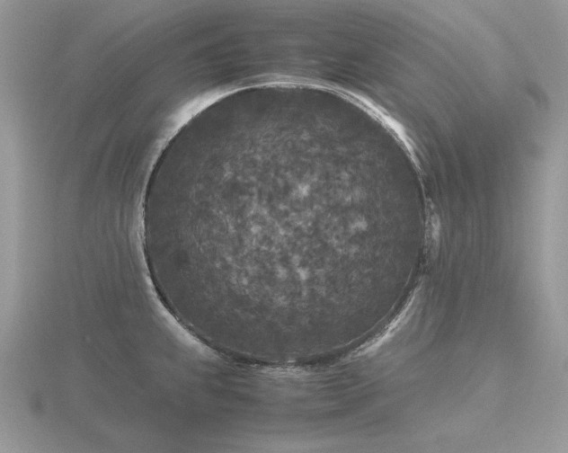 X0000116561239200912101443