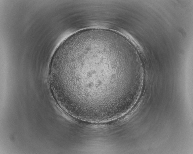X0000116561240200912101443