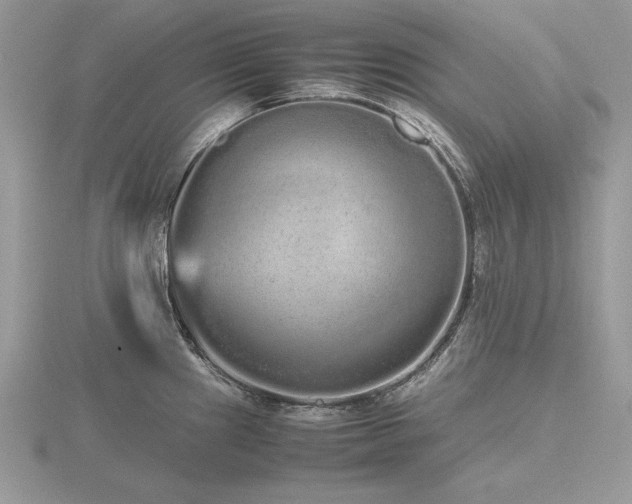 X0000116561241200912101443
