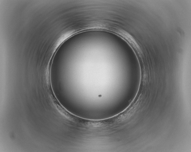 X0000116561242200912101443
