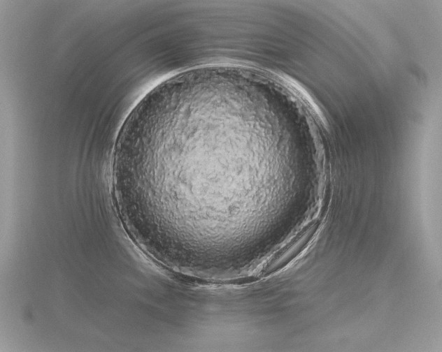 X0000116561244200912101443