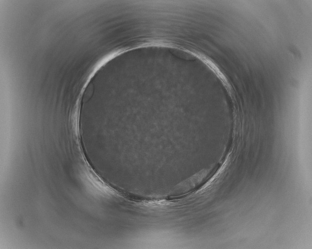 X0000116561246200912101443