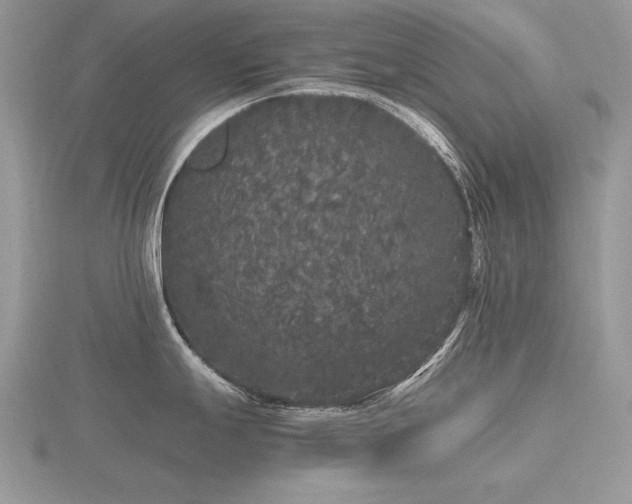 X0000116561247200912101443