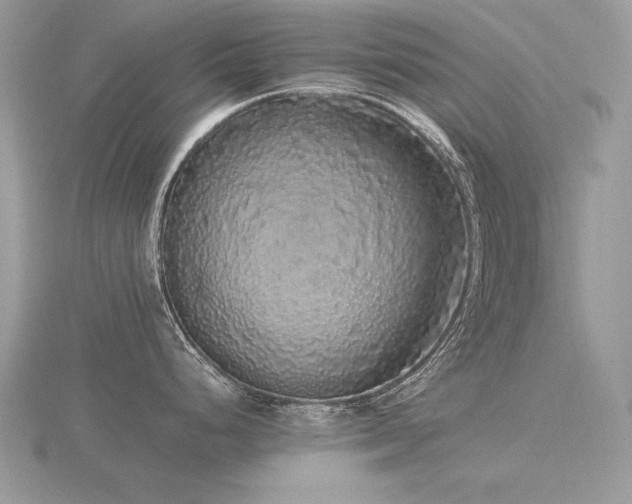 X0000116561248200912101443