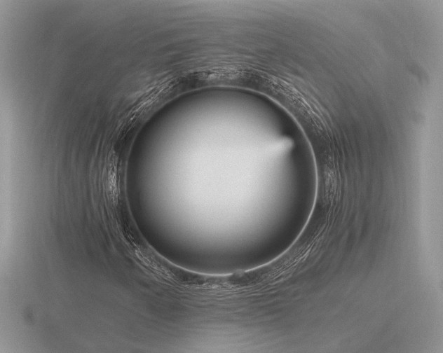 X0000116561250200912101442