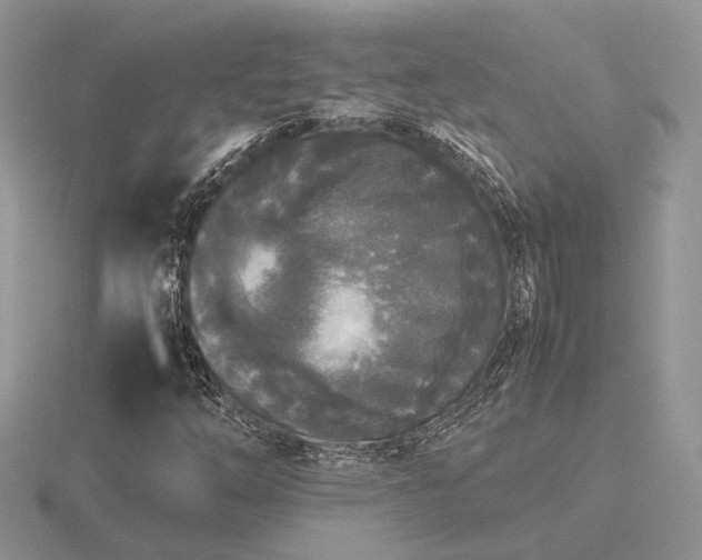 X0000116561254200912101442