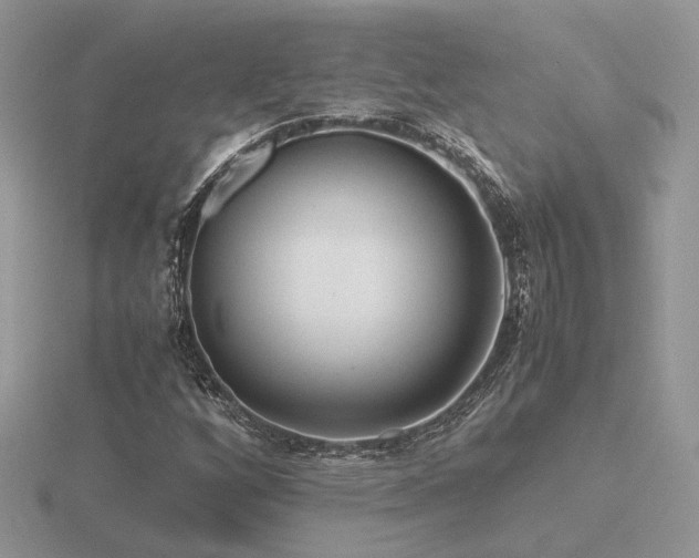 X0000116561256200912101442