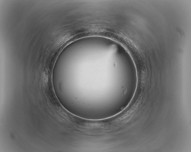 X0000116561257200912101442