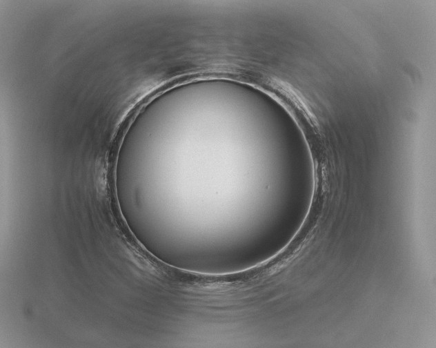 X0000116561260200912101442