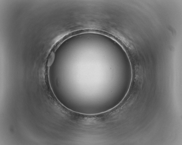 X0000116561264200912101442
